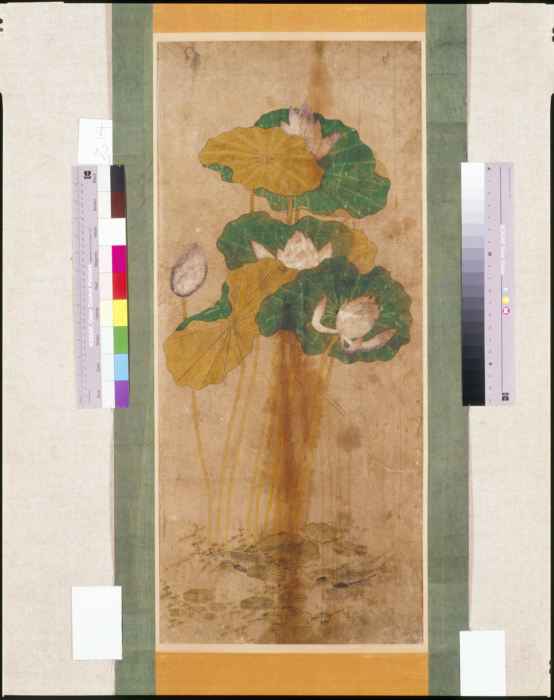 蓮池図 - 所蔵品データベース | 日本民藝館